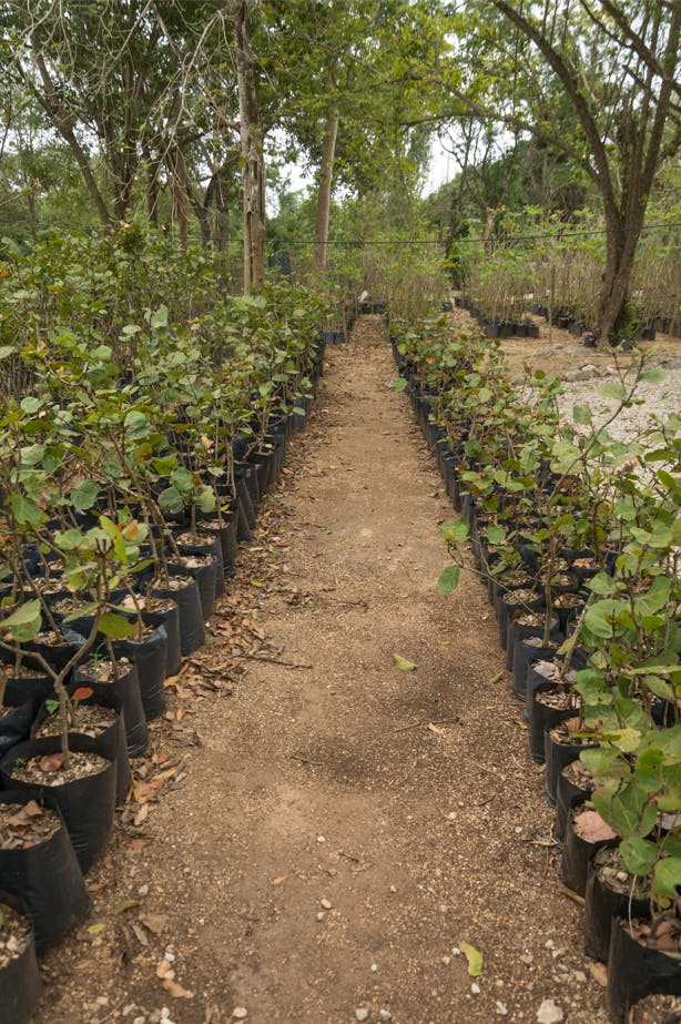 Vulcan Materials Company ESG Longterm environmental strategy